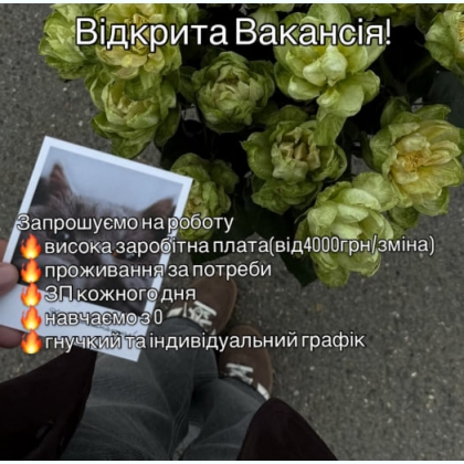 ��������   ����������   ������� 