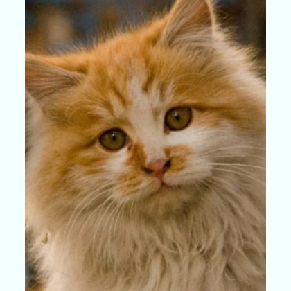 ������ � ������ ������ ������.�����.������� ������ �� ����� ��������.