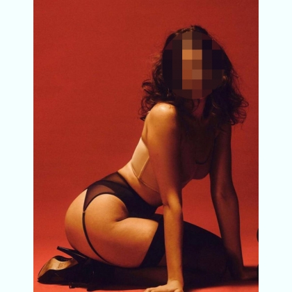 ������� �e� ������ ��a�. ���� � M�P. ��a� 